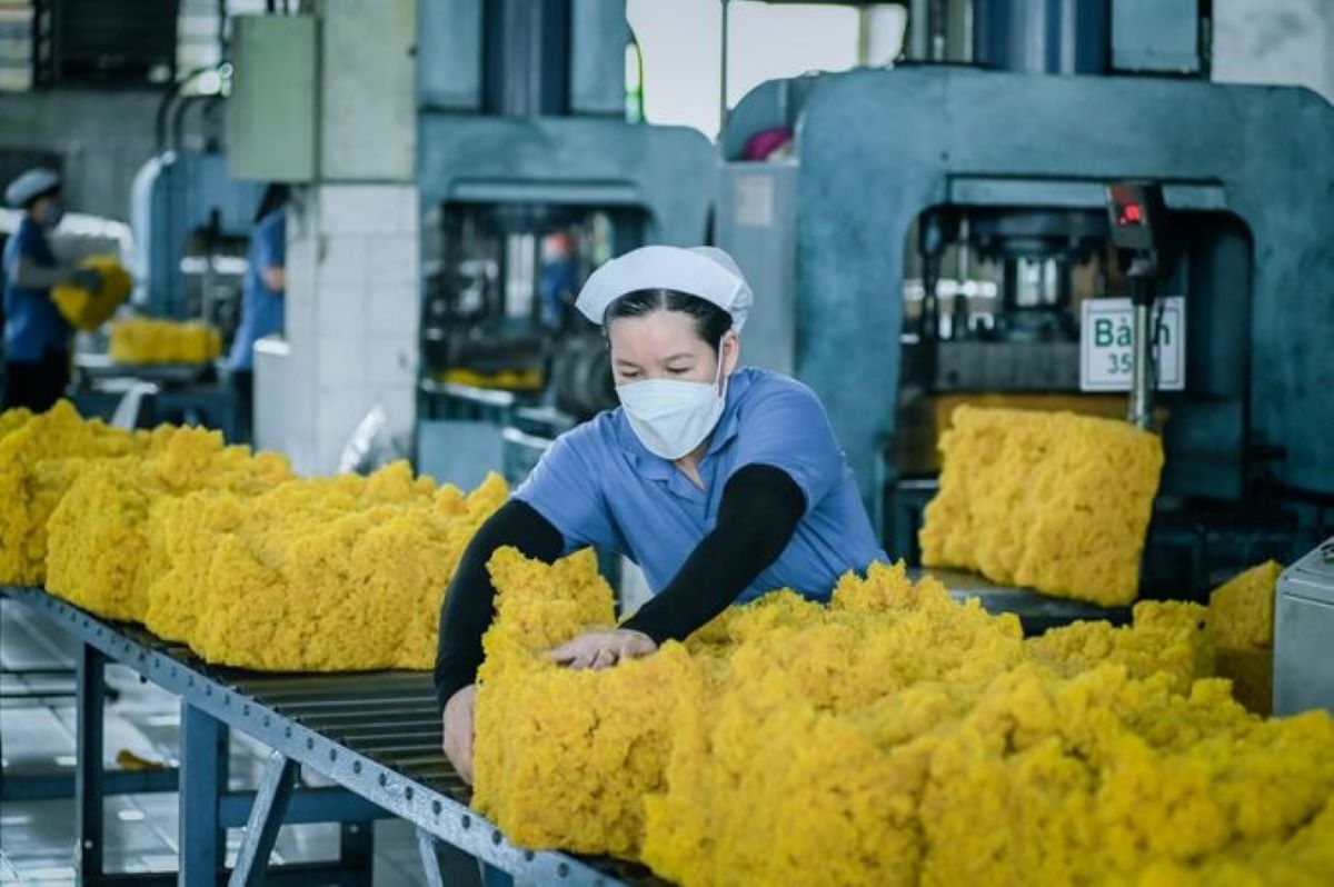 Trung Quốc chiếm hơn 64% thị phần xuất khẩu cao su của Việt Nam