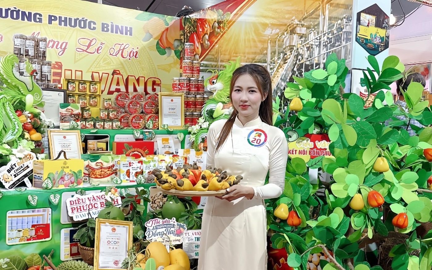 Đồng Nai kỳ vọng nâng tầm hạt điều bằng công nghệ và xúc tiến thương mại