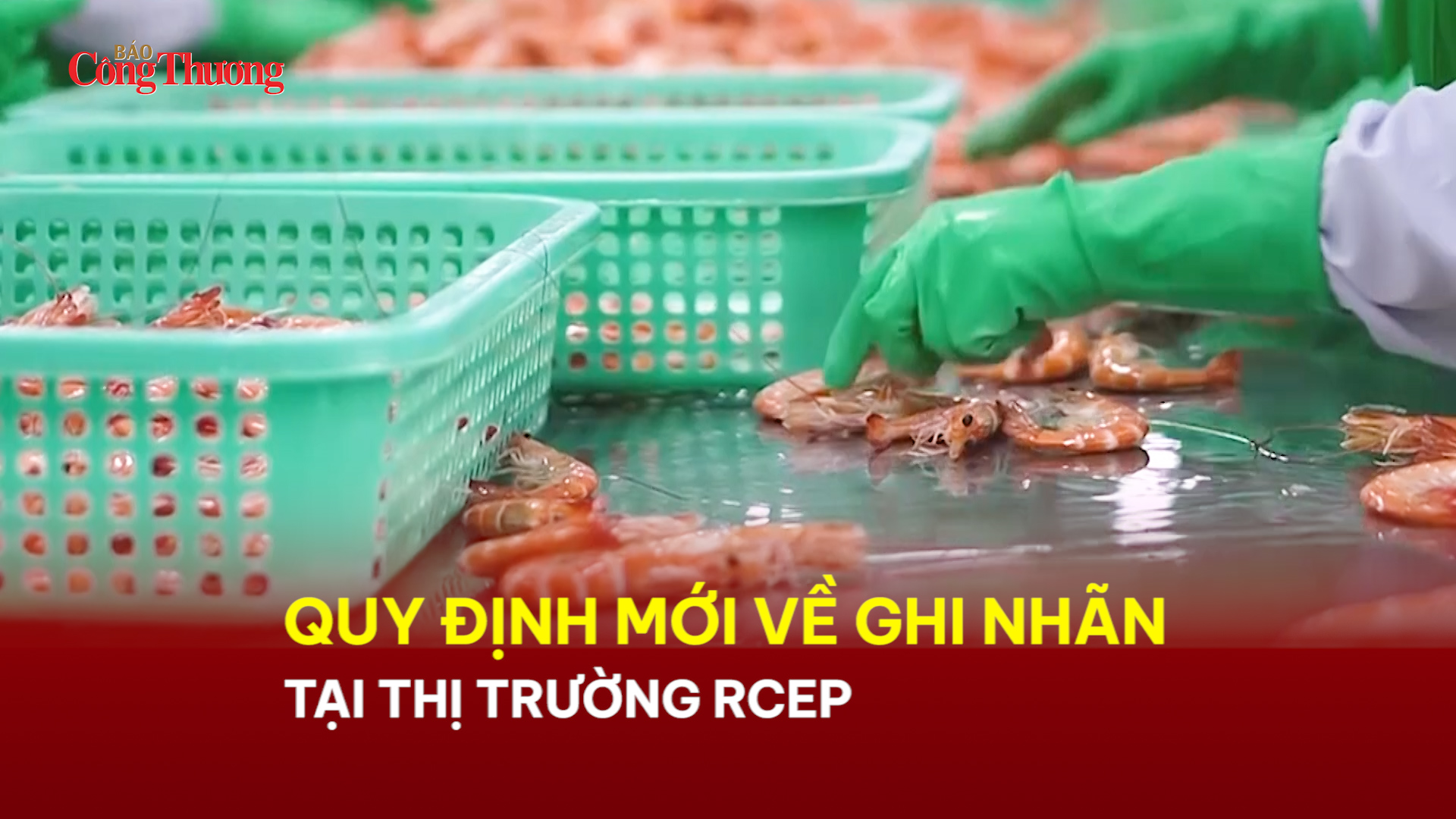 Quy định mới về ghi nhãn tại thị trường RCEP