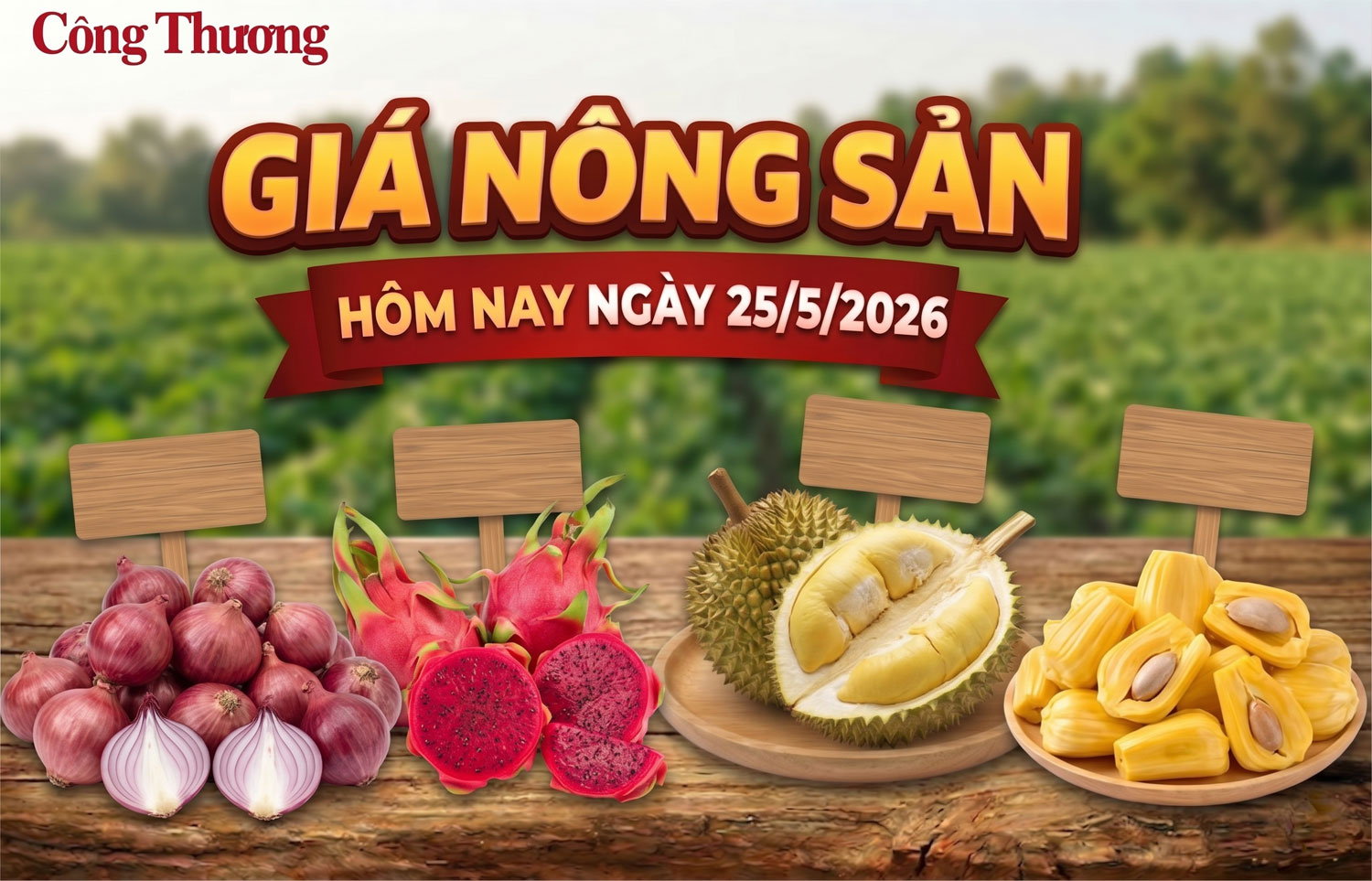 Giá nông sản hôm nay ngày 25/5: Sầu riêng có xu hướng phục hồi