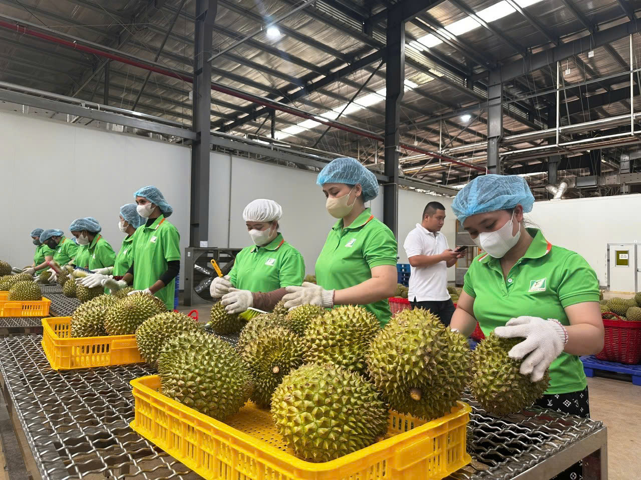 Nông sản Việt trước sức ép đổi chuẩn xuất khẩu