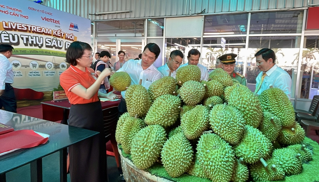 Cần Thơ mở tuần lễ cao điểm tiêu thụ sầu riêng, đẩy mạnh bán hàng số