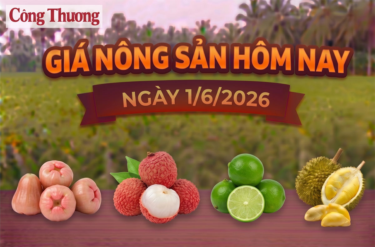 Giá nông sản hôm nay, ngày 1/6: Giá vải u trứng tăng mạnh