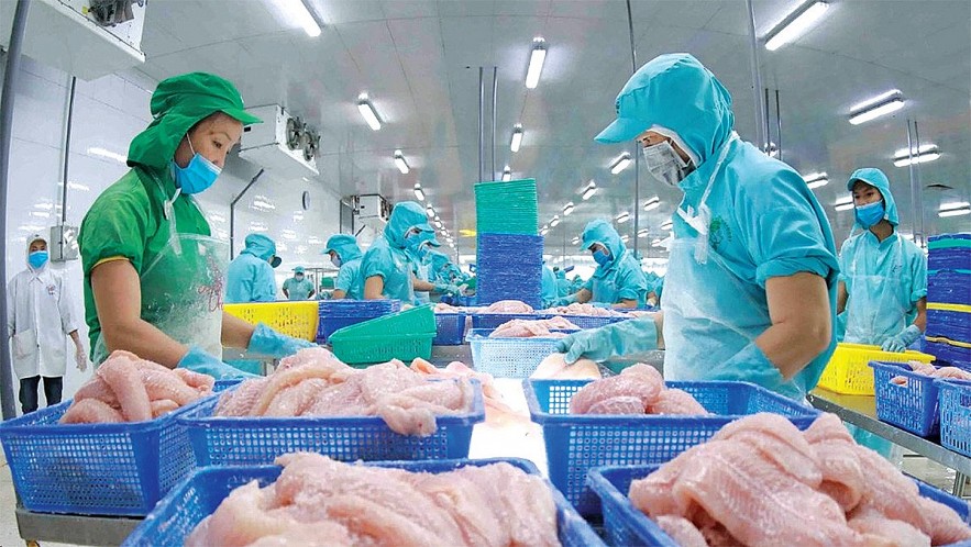 Việt Nam là thị trường cung cấp thủy sản lớn thứ ba cho Trung Quốc 