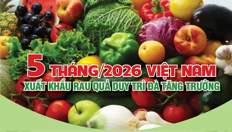 Infographic | 5 tháng/2026, xuất khẩu rau quả duy trì đà tăng trưởng
