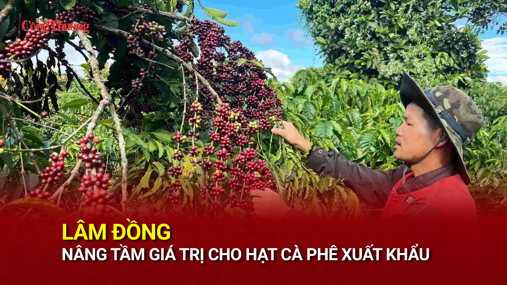 Lâm Đồng nâng tầm giá trị cho hạt cà phê xuất khẩu