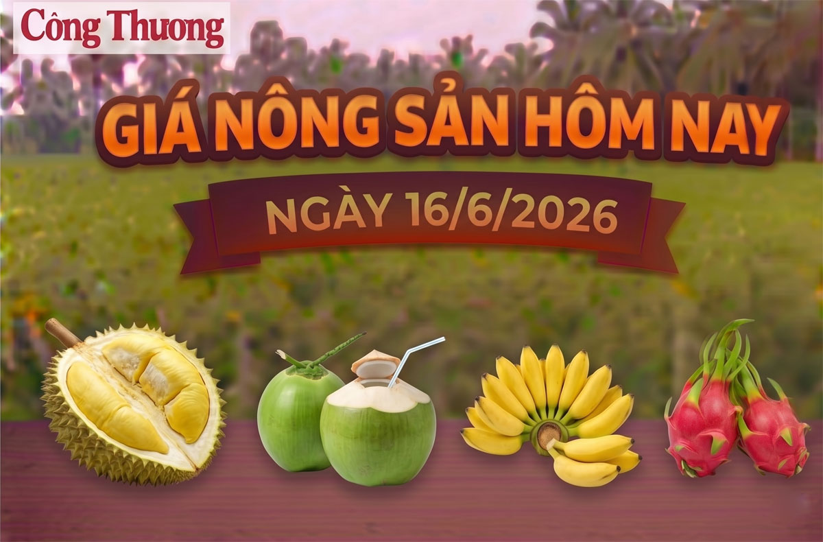 Giá nông sản hôm nay, ngày 16/6: Chuối ngự tiến vua được giá