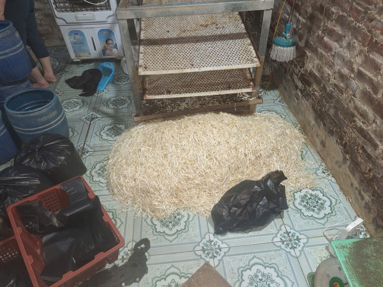 Hưng Yên: Khởi tố đối tượng dùng chất cấm sản xuất gần 800kg giá đỗ