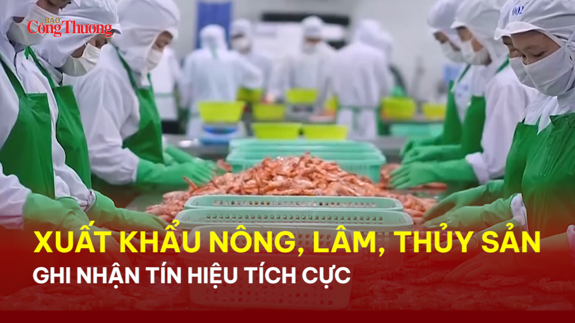 Xuất khẩu nông, lâm, thủy sản ghi nhận tín hiệu tích cực 