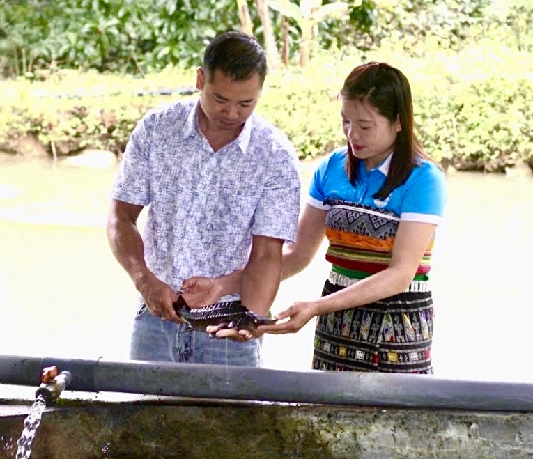 Thanh Hóa: Cá tầm OCOP 3 sao và khát vọng làm giàu nơi vùng cao 