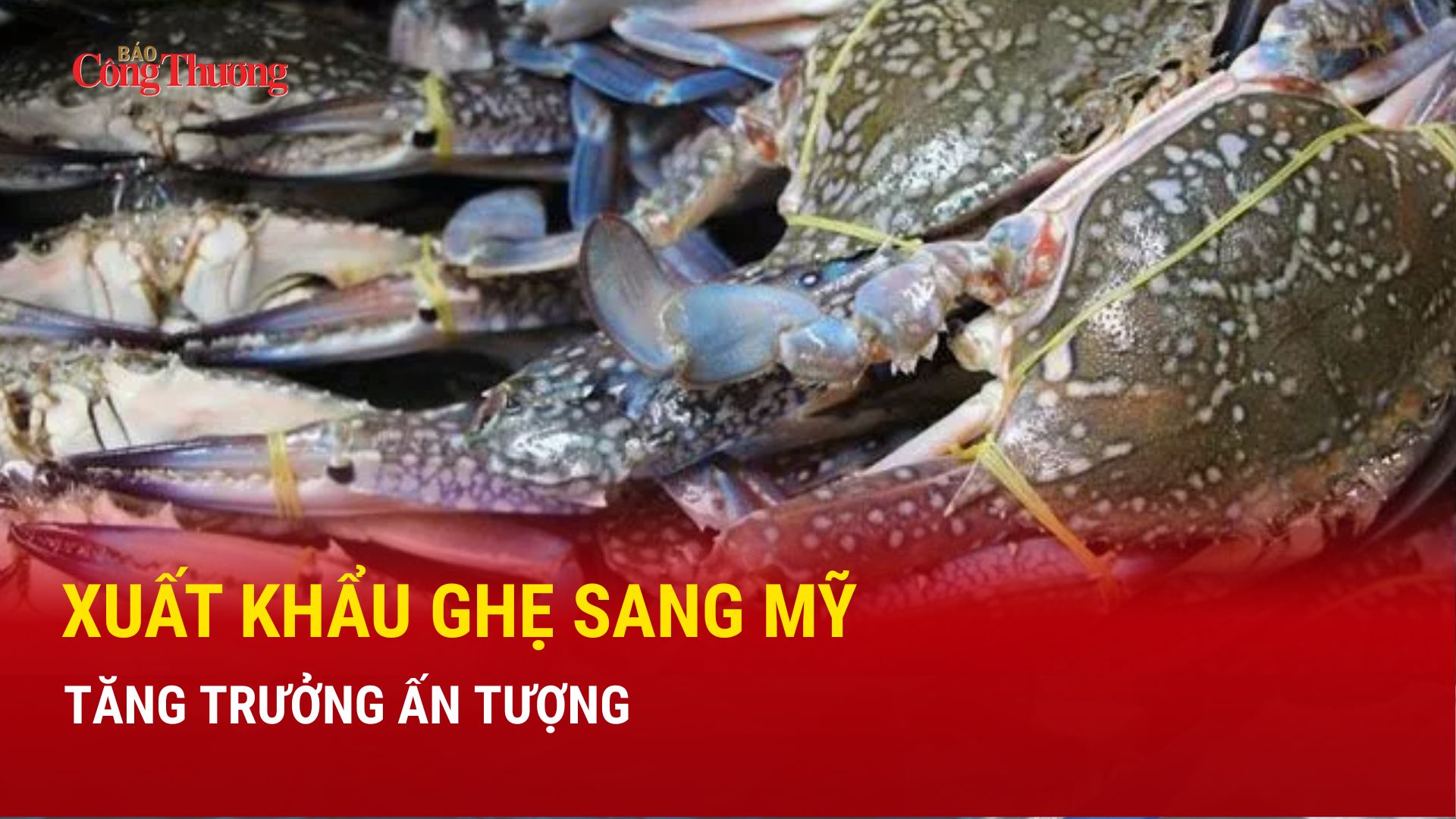 Xuất khẩu ghẹ sang Mỹ tăng trưởng ấn tượng