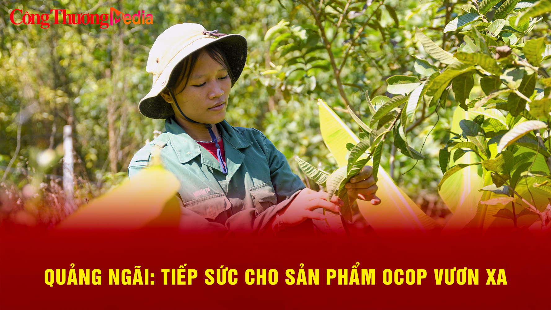 Quảng Ngãi: Tiếp sức cho sản phẩm OCOP vươn xa