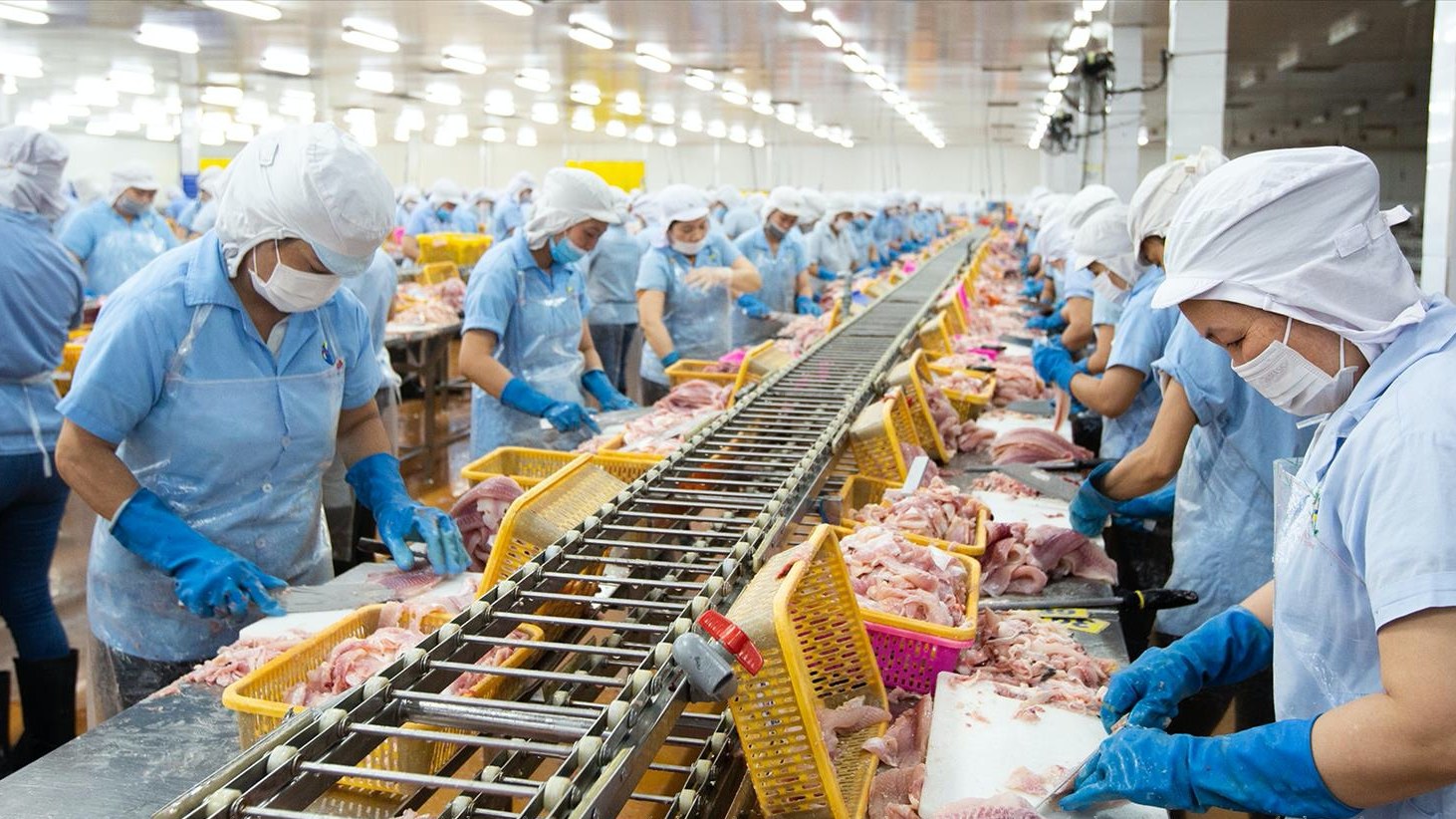 UKVFTA mở rộng cánh cửa cho thủy sản Việt Nam tại thị trường Anh