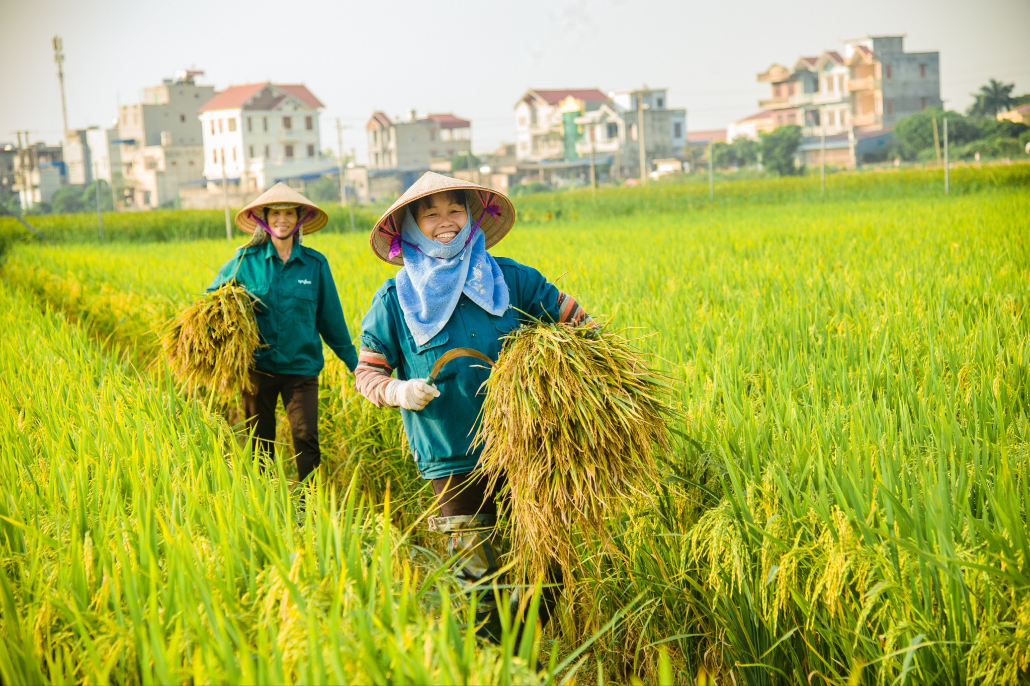 Sản xuất nông nghiệp khởi sắc, bảo đảm an ninh lương thực và xuất khẩu