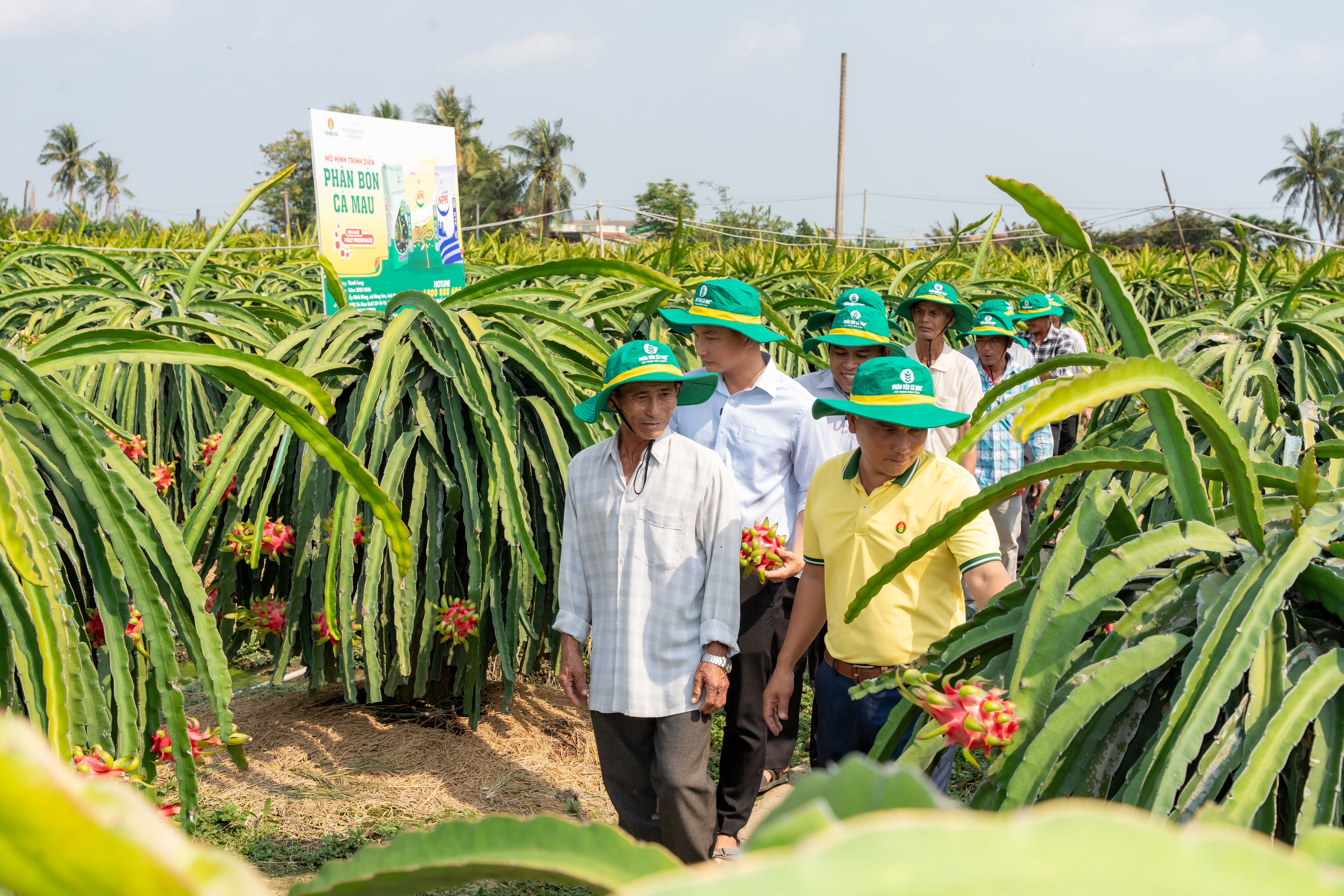 Điểm tựa cho một mùa vụ vững tin hơn