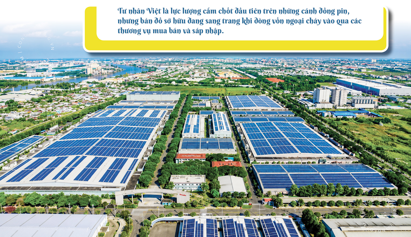 Điện mặt trời Việt Nam – Kỳ 7: Ai thực sự đứng sau những cánh đồng pin? - 1