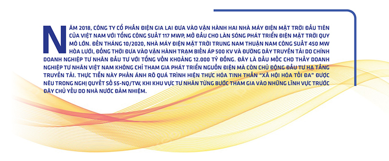 Điện mặt trời Việt Nam – Kỳ 7: Ai thực sự đứng sau những cánh đồng pin? - 6