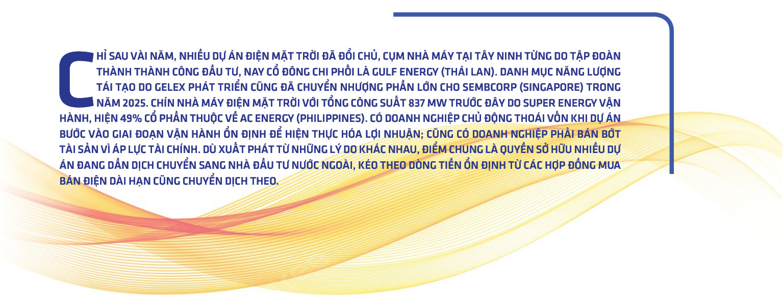 Điện mặt trời Việt Nam – Kỳ 7: Ai thực sự đứng sau những cánh đồng pin? - 11