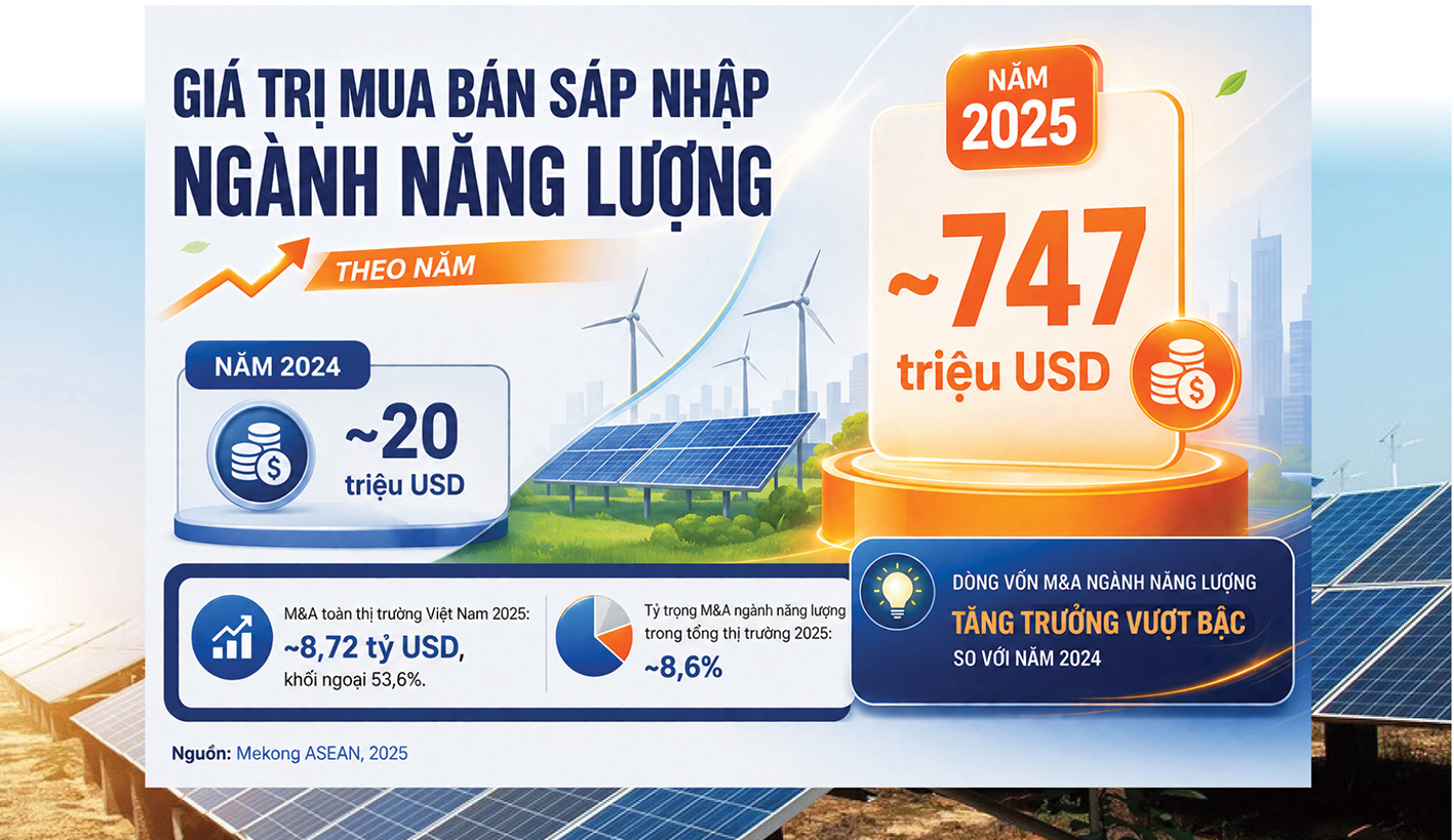 Điện mặt trời Việt Nam – Kỳ 7: Ai thực sự đứng sau những cánh đồng pin? - 3
