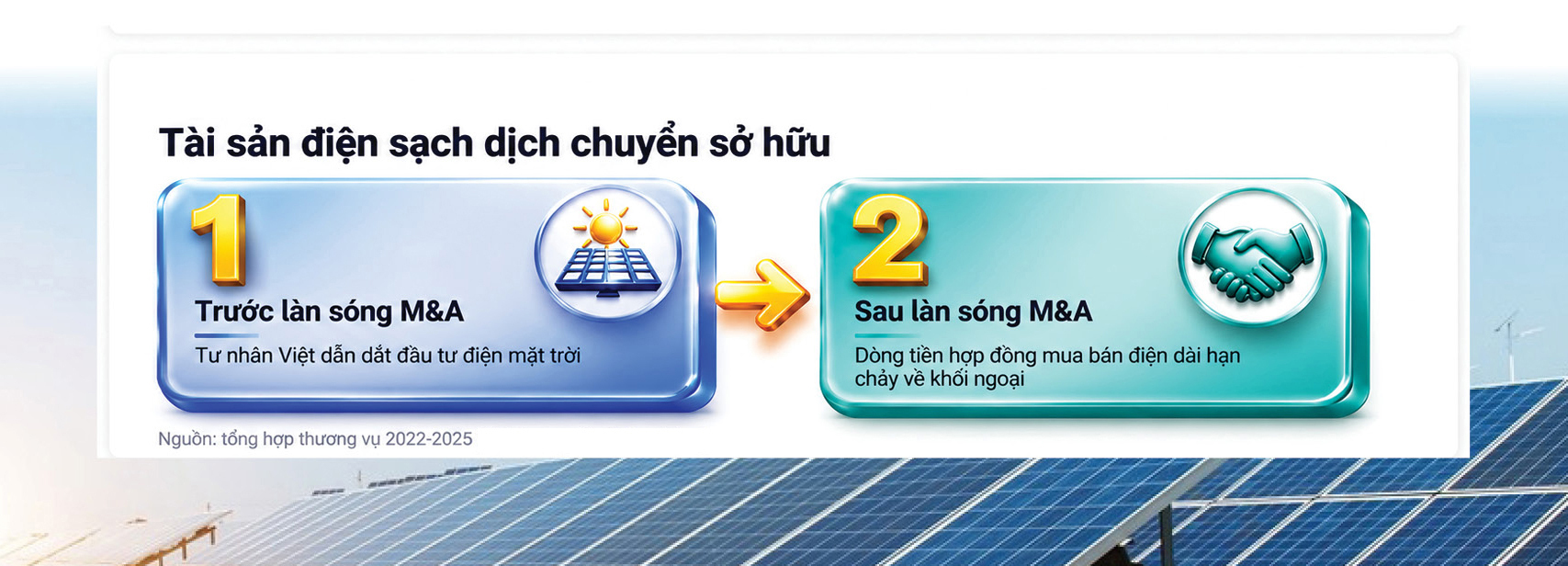 Điện mặt trời Việt Nam – Kỳ 7: Ai thực sự đứng sau những cánh đồng pin? - 13