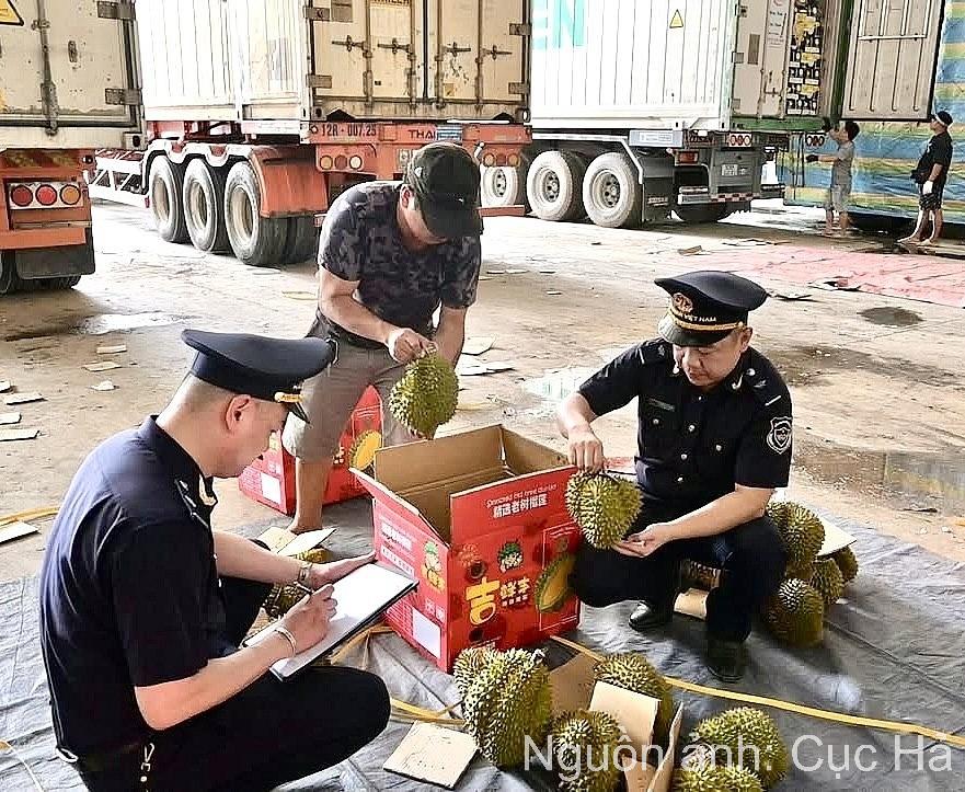 Kịp thời hỗ trợ, tạo thuận lợi cho hàng nông sản xuất khẩu