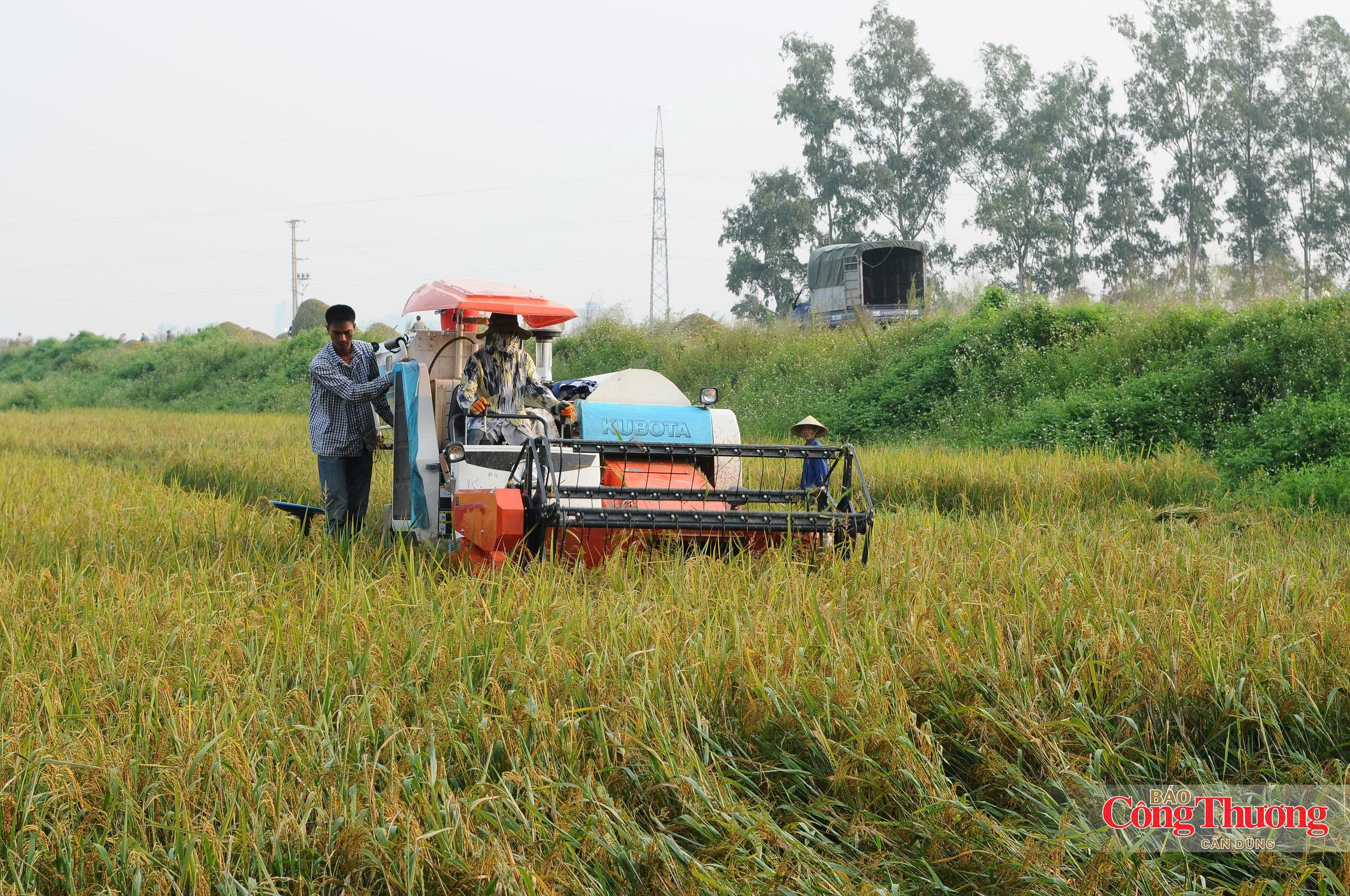 Khi người nông dân trở thành 'chiến sĩ khí hậu'