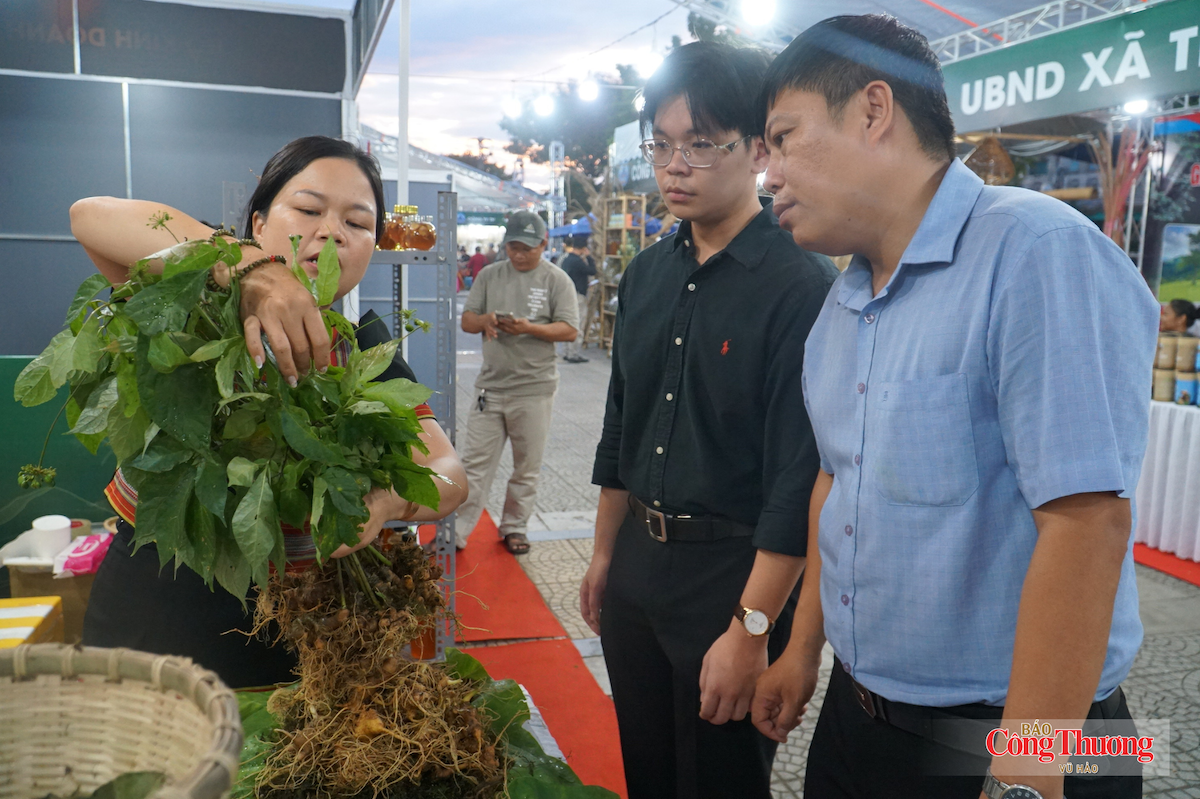 Sâm Ngọc Linh xuống phố: Kênh kết nối tiền tỷ