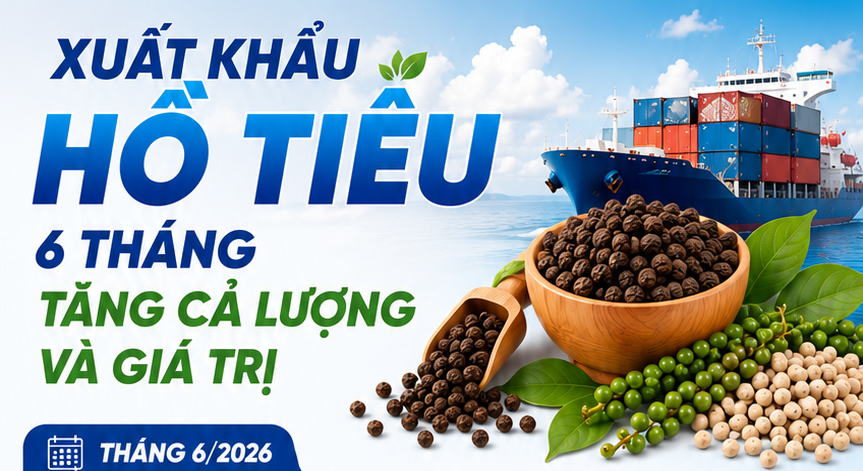 Infographic | Xuất khẩu hồ tiêu 6 tháng tăng cả lượng và giá trị