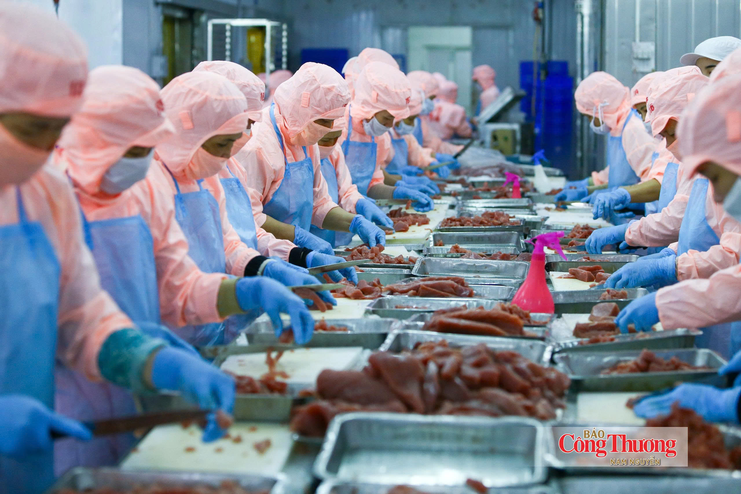 Các FTA luôn là cơ chế được ưu tiên khai thác bởi đây là công cụ giúp gia tăng lợi thế cạnh tranh và mở rộng thị trường.