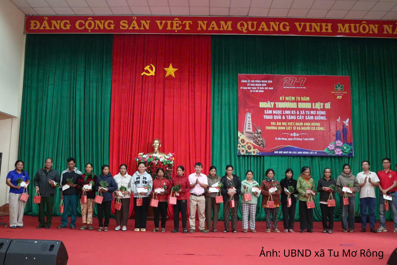 Quảng Ngãi: Trao hơn 18.500 cây sâm Ngọc Linh cho gia đình chính sách