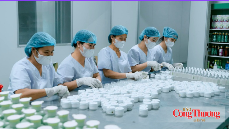 Tỉnh Nghệ An hiện có hơn 18.000 doanh nghiệp đang hoạt động, đóng góp quan trọng vào sự phát triển kinh tế - xã hội.