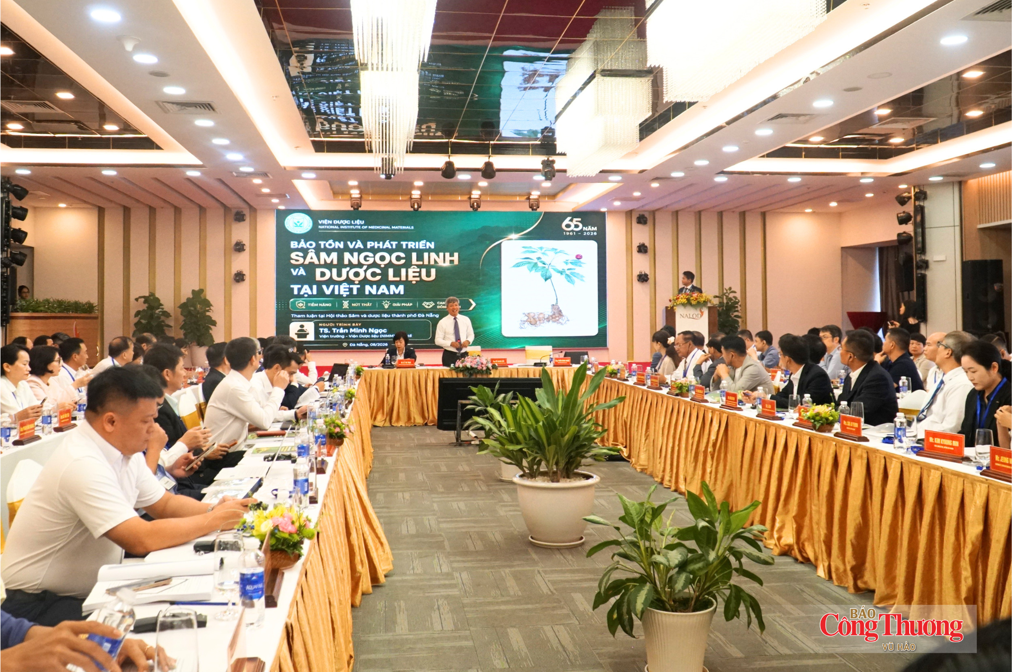 Tìm lời giải đưa Sâm Ngọc Linh thành thương hiệu toàn cầu
