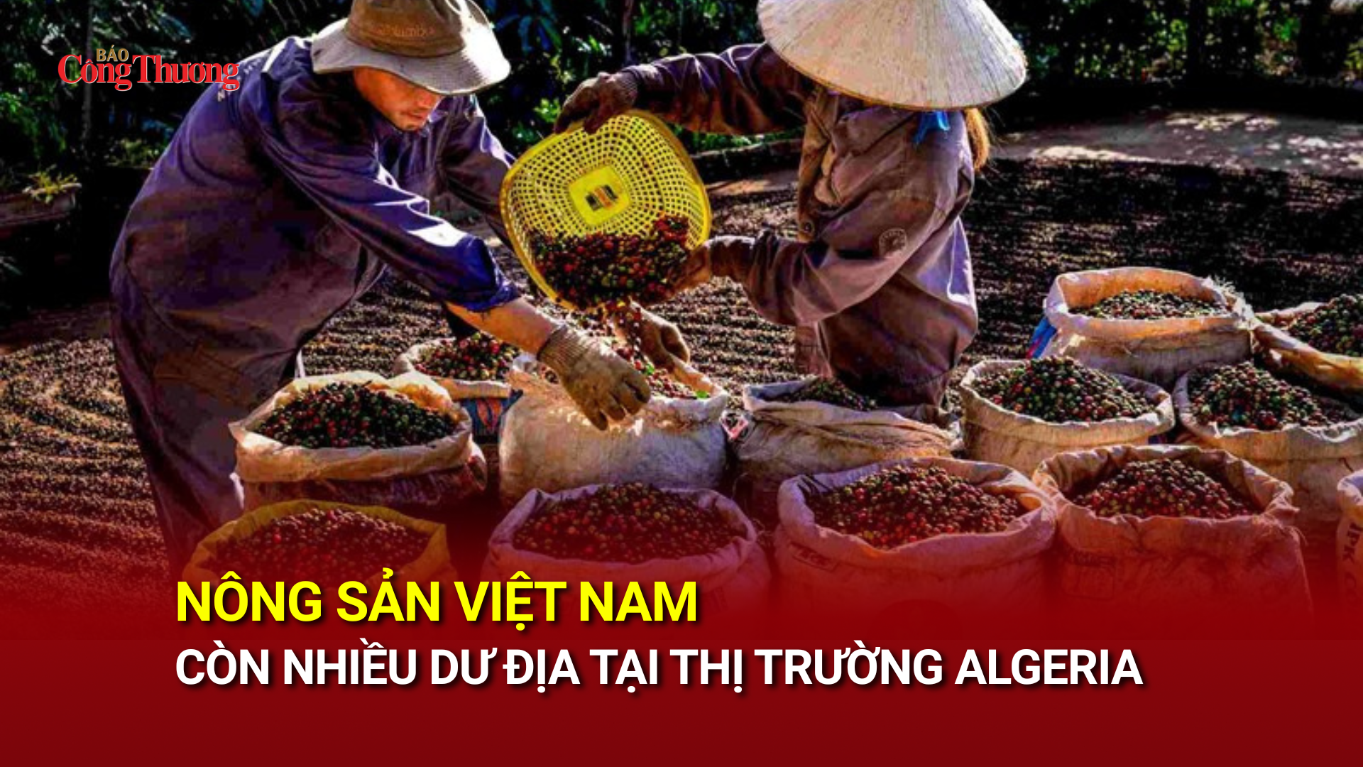 Nông sản Việt Nam còn nhiều dư địa tại thị trường Algeria