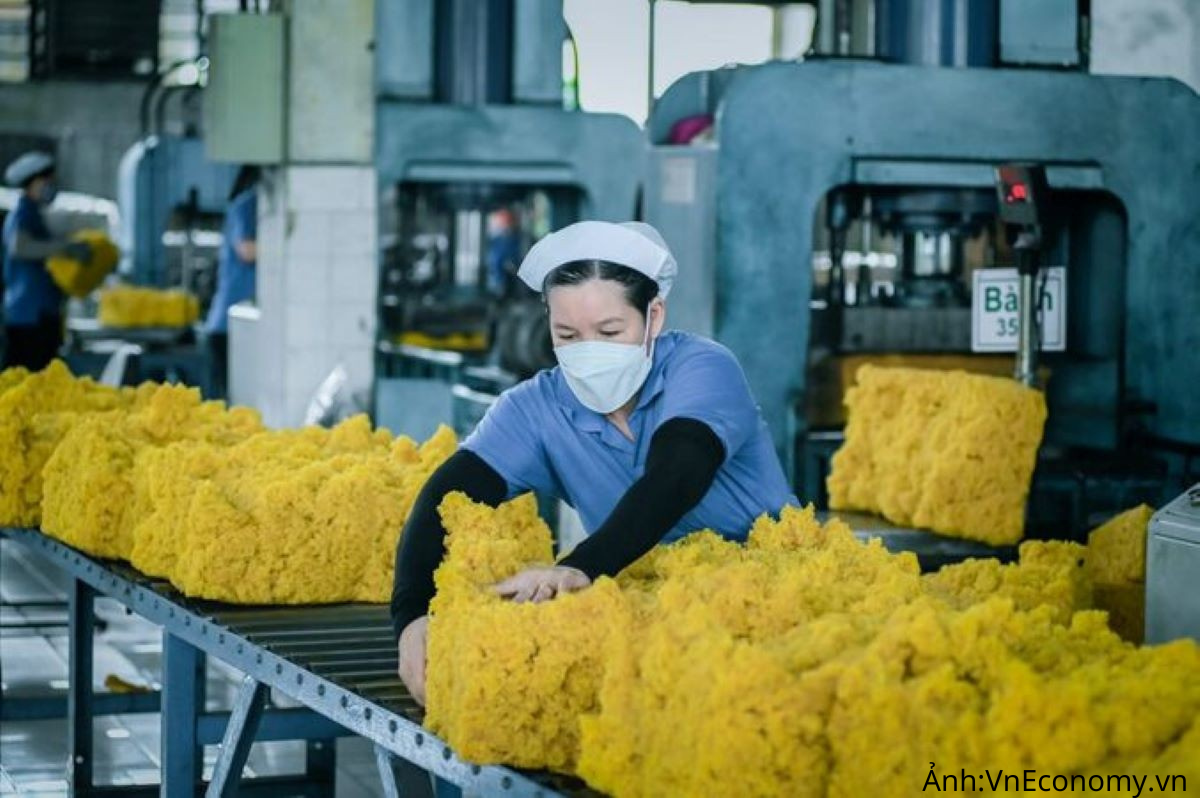 Trung Quốc chiếm gần 59% thị phần xuất khẩu cao su của Việt Nam 