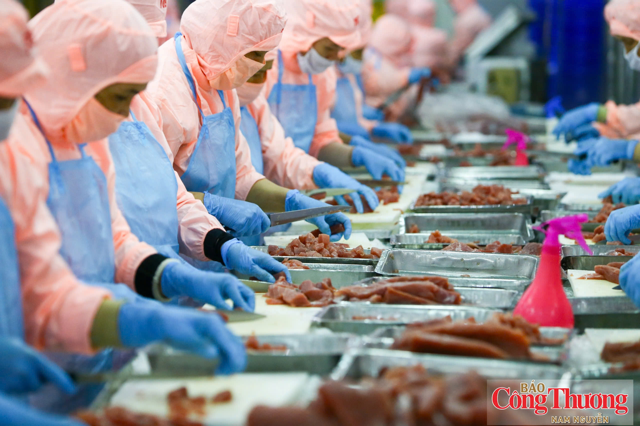 Chương trình GoGlobal giai đoạn 2026 - 2030 hướng tới hỗ trợ doanh nghiệp nâng cao năng lực cạnh tranh, xây dựng vị thế trên thị trường quốc tế.