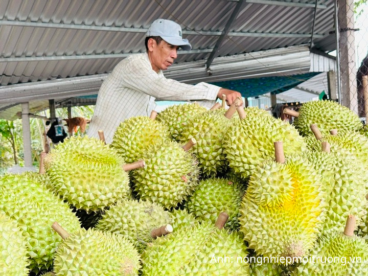 Xuất khẩu rau quả Việt Nam vượt 1 tỷ USD tháng thứ hai liên tiếp