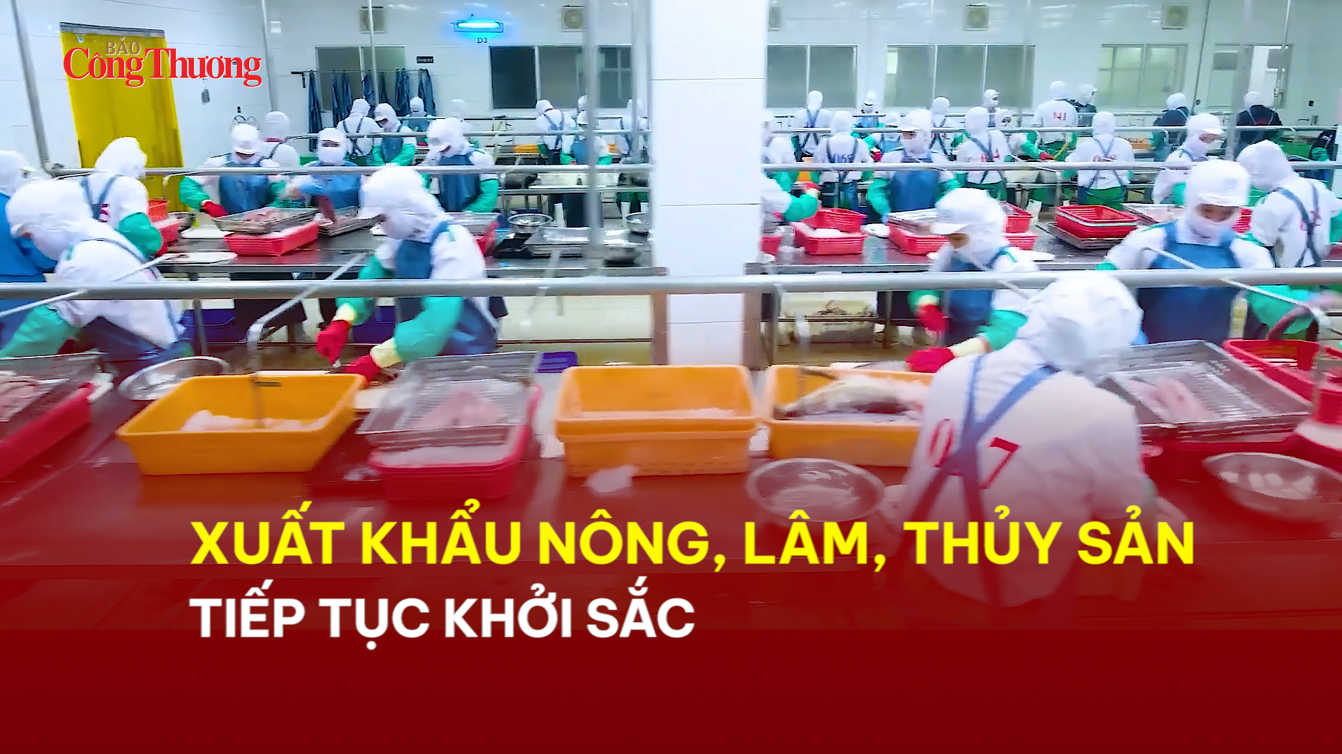 Xuất khẩu nông, lâm thủy sản tiếp tục khởi sắc