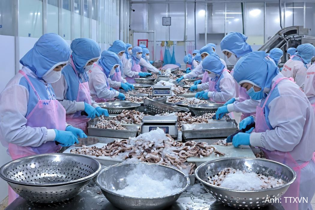 Thủy sản Việt Nam giữ đà tăng, thị trường xuất khẩu phân hóa