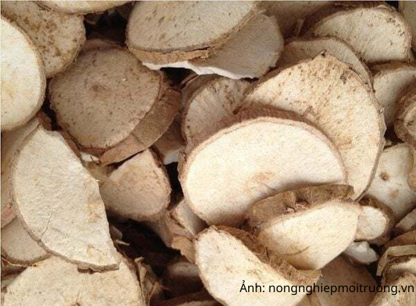  Việt Nam là thị trường cung cấp sắn lát lớn thứ hai cho Hàn Quốc