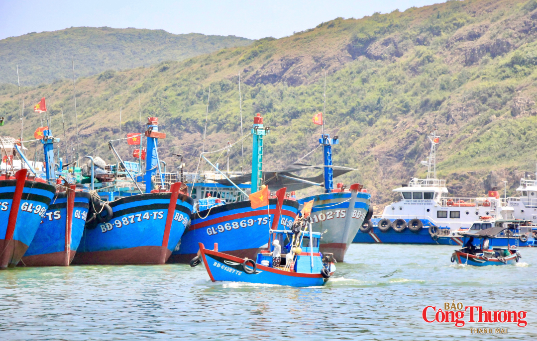 Gia Lai: Quản lý chặt đội tàu, quyết tâm gỡ thẻ vàng IUU