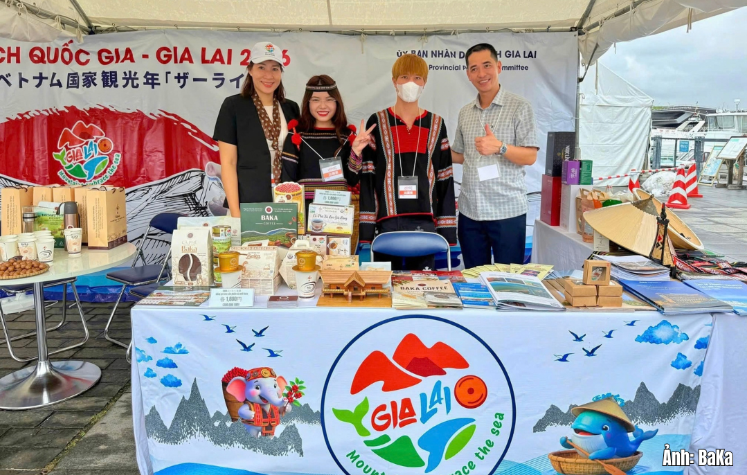 Để cà phê Gia Lai vươn xa trên thị trường quốc tế