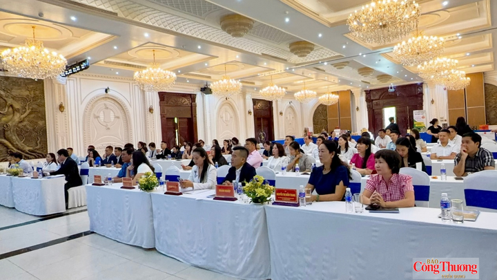 Doanh nghiệp Hà Nội – Cần Thơ kết nối, mở rộng cơ hội giao thương