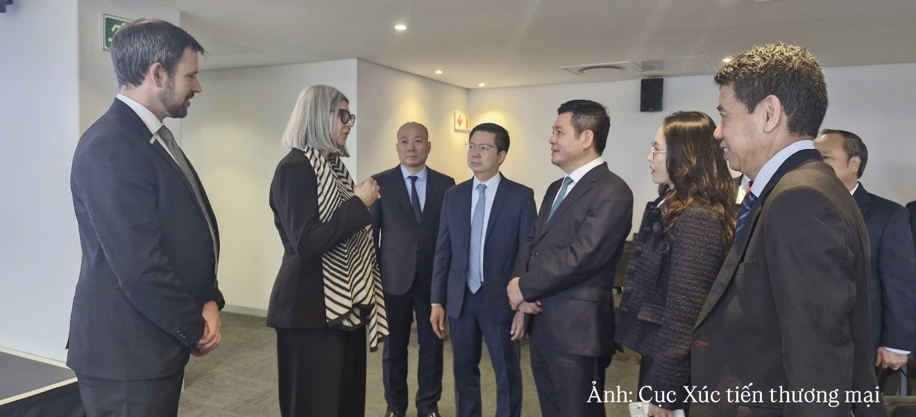 Việt Nam - Nam Phi mở rộng dư địa hợp tác kinh tế